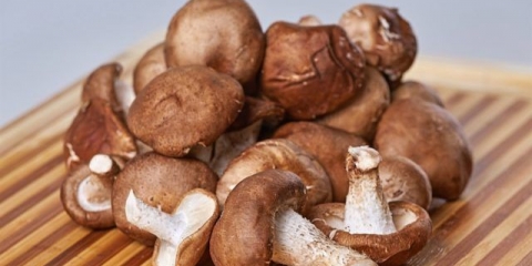 Shiitake pečurke: koliko kuhati
